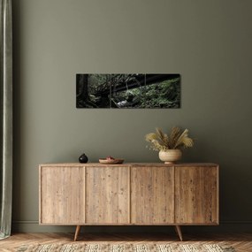 Tablou din pădurea neagră (cu ceas) (90x30 cm)
