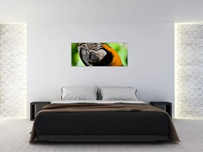 Tablou cu papagal (120x50 cm)