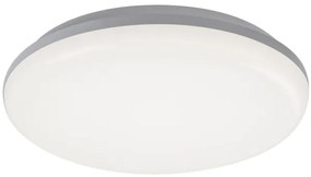 Rabalux 7979 - Plafonieră LED exterior ERIC LED/24W/230V IP64
