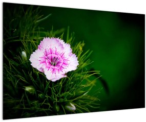 Tablou cu floare roz (90x60 cm)