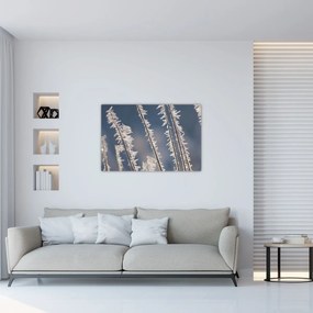 Tablou - Îngheț (90x60 cm)