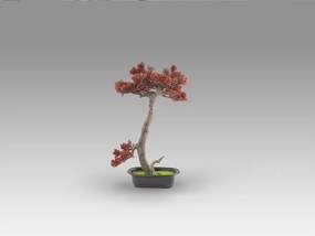 Set de 2 Plante artificiale, Bunjin-hi BONSAI 45cm