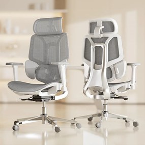 HBADA E3 AIR Scaun ergonomic, cu suport lombar dinamic pe 3 zone, tetieră reglabilă 3D, cotiere reglabile 6D, pivotant, Gri