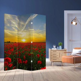 Paravan - Câmp cu maci (126x170 cm)