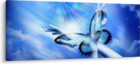 Tablou - Fluture, simbolul speranței (120x50 cm)