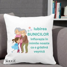 Cadou pentru Bunici - Perna Personalizata Bunicii Iubirea Infloreste cu Nepoata Teal, 40x40 cm, Alba Mata, Husa Detasabila, Perna Inclusa, BEKZ®