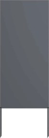 vidaXL Ecran de intimitate pentru grădină Antracit 50 x 140 cm