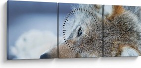 Tablou - Lup (cu ceas) (90x30 cm)