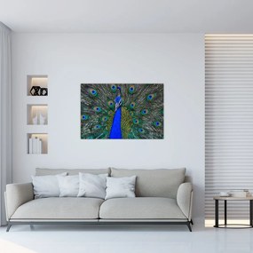 Tablou - Păun (90x60 cm)