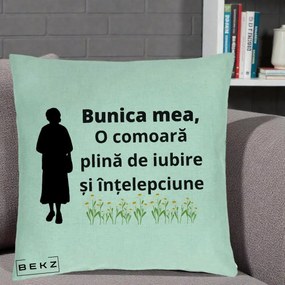 Cadou pentru Bunica - Perna Personalizata Bunica Mea Comoara Iubire Intelepciune Silueta cu Nepoata, 40x40 cm, Verde Menta, Husa Detasabila, Perna Inclusa, BEKZ®