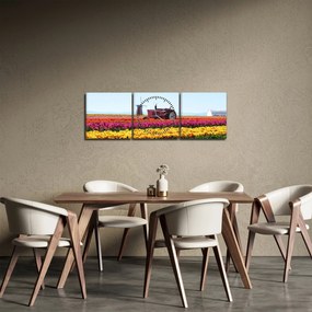 Tablou cu farma de lalele (cu ceas) (90x30 cm)