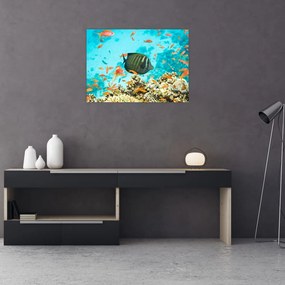 Tablou pe sticlă lumii submarine (70x50 cm)