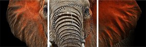 Tablou - Elefanți cu Tsavo (cu ceas) (90x30 cm)