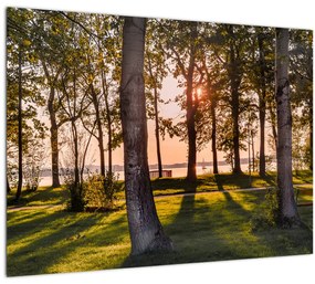 Tablou cu pomi lângă lac (70x50 cm)