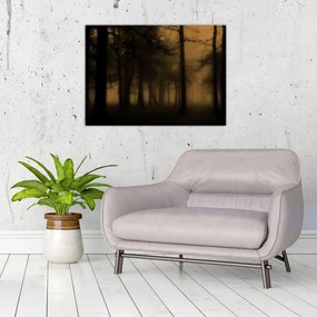 Tablou - Pădurea întunecată (70x50 cm)