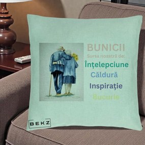 Cadou pentru Bunici - Perna Personalizata Bunicii Sursa Intelepciune Caldura Acuarela, 40x40 cm, Verde Menta, Husa Detasabila, Perna Inclusa, BEKZ®
