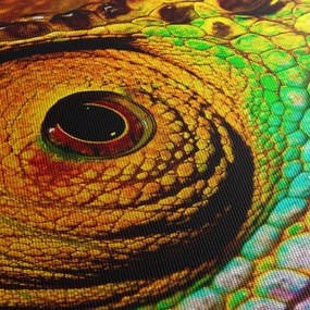 Tablou - Cameleon (70x50 cm)