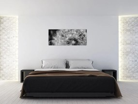 Tablou - mulțime de păpădii (120x50 cm)