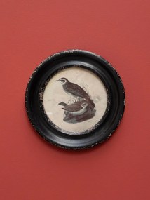Tablou decorativ, cu rama din lemn de pin, aspect vintage, Turtledoves III