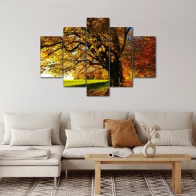 Tablou cu copac toamna (150x105 cm)