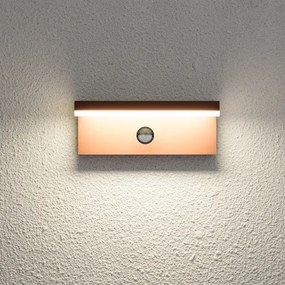 Brilagi-LED Aplică de perete pentru exterior cu senzor TESSI LED/10W/230V, maro, IP54