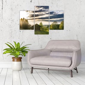 Tablou cu cabana pe luncă (90x60 cm)