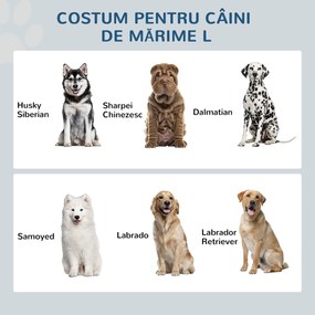 PawHut Boluri Înălțate pentru Câini din Oțel Inoxidabil și Lemn cu Sertar, 60x30x36 cm, Gri | Aosom Romania