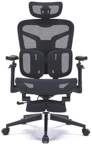 DeluxStar T9 Premium – Scaun ergonomic, cotiere 6D ultra moi, suport lombar adaptiv, spătar reglabil pe inaltime, tetiera 4D, mecanism multifunctional inclinare/blocare, pivotant, Mesh, Negru