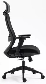 Scaun de birou Ergon negru