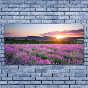 Tablouri acrilice Soare Meadow Flori Natura Galben Roz Verde