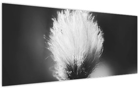 Tablou - Coțofană neagră și albă (120x50 cm)