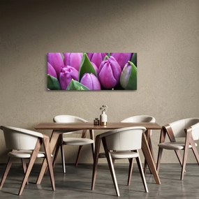Tablou - florile lalelelor (120x50 cm)