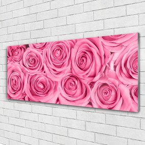 Tablou pe sticla Trandafiri roz Floral
