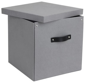 Cutie de depozitare Bigso Box of Sweden Logan, gri deschis