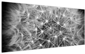Tablou păpădie gri (120x50 cm)