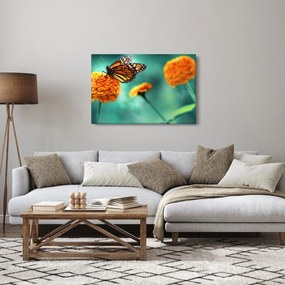Tablou cu fluture (90x60 cm)