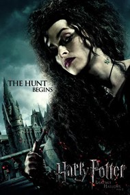 Poster de artă Harry Potter - Bellatrix, (26.7 x 40 cm)