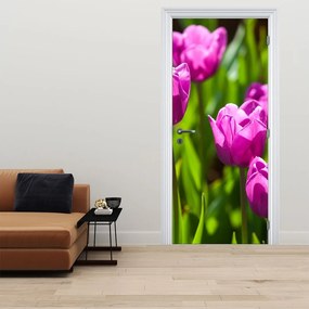 Fototapet pentru ușă - Lalele în câmp (95x205cm)