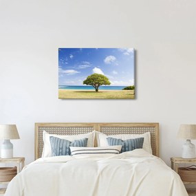Tablou plaja cu copac (90x60 cm)