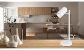 Veioza minimalista cu spot directionabil ROBBY alba
