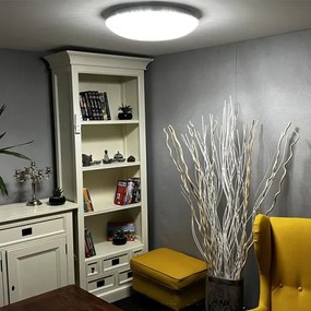 Plafonieră LED dimabilă LED/48W/230V 2700-6500K Wi-Fi Tuya + telecomandă