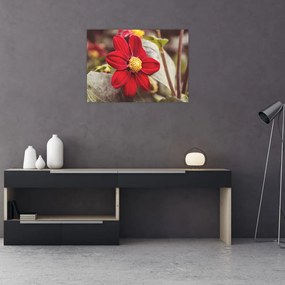 Tablou pe sticlă cu floare (70x50 cm)