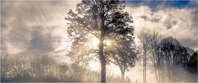 Tablou cu copac în ceață (120x50 cm)