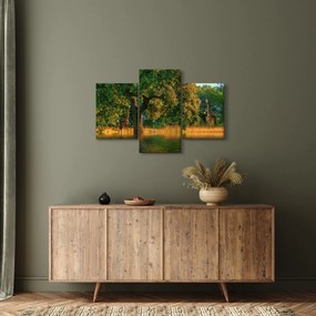 Tablou cu girafe în natură (90x60 cm)