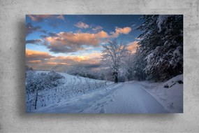 Tapet Premium Canvas - Drumul acoperit de zapada si cerul colorat