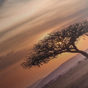 Tablou apusului de soare în Tanzania (150x105 cm)