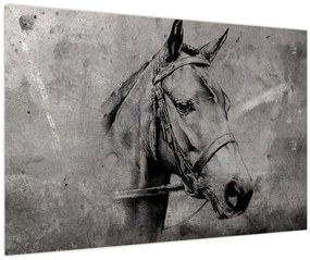 Tablou - Portret de cal (90x60 cm)