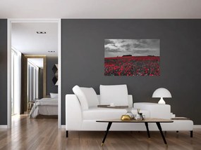 Tablou cu maci (90x60 cm)