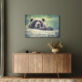 Tablou cu urs (90x60 cm)