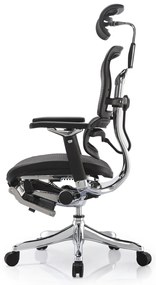 Scaun de birou - ERGOHUMAN2 PDH ULTRA BLACK FRAME W09-01+ALU BASE - precomanda 7-12 zile (Termen de livrare: 7 zile)